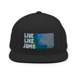 Embroidered logo - Snapback Hat