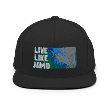 Embroidered logo - Snapback Hat